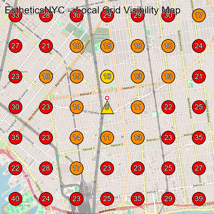 EstheticsNYC GeoGrid visibility map for Permanent Make-Up Clinic in Brooklyn